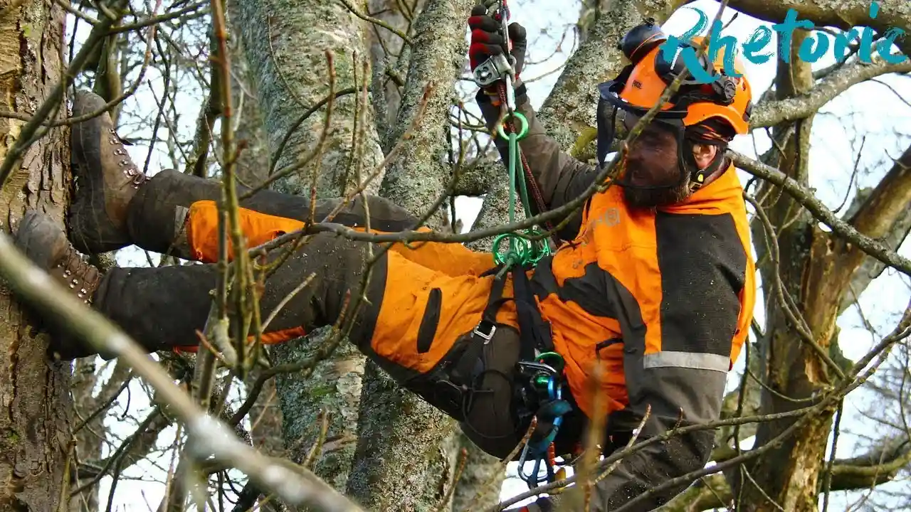 Local Regulations for Tree Surgery in UK